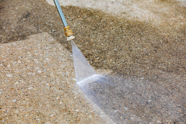 Best Driveway Cleaning and Restoration in Westvle, IL